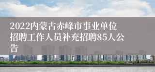 2022内蒙古赤峰市事业单位招聘工作人员补充招聘85人公告