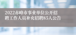 2022赤峰市事业单位公开招聘工作人员补充招聘85人公告