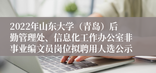 2022年山东大学（青岛）后勤管理处、信息化工作办公室非事业编文员岗位拟聘用人选公示