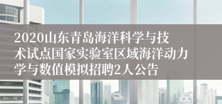 2020山东青岛海洋科学与技术试点国家实验室区域海洋动力学与数值模拟招聘2人公告