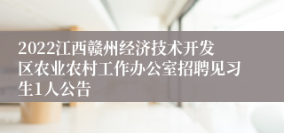 2022江西赣州经济技术开发区农业农村工作办公室招聘见习生1人公告