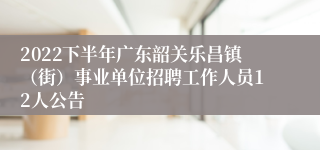 2022下半年广东韶关乐昌镇（街）事业单位招聘工作人员12人公告