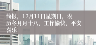 简报，12月11日星期日，农历冬月月十八，工作愉快，平安喜乐