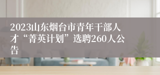 2023山东烟台市青年干部人才“菁英计划”选聘260人公告