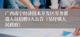 广西南宁经济技术开发区劳务派遣人员招聘3人公告（吴圩镇人民政府）