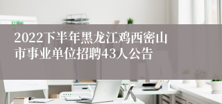 2022下半年黑龙江鸡西密山市事业单位招聘43人公告