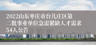 2022山东枣庄市台儿庄区第二批事业单位急需紧缺人才需求54人公告