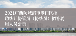 2021广西防城港市港口区招聘统计协管员（协统员）拟补聘用人员公示