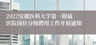 2022安徽医科大学第一附属医院岗位分级聘用工作开展通知