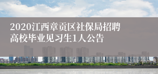 2020江西章贡区社保局招聘高校毕业见习生1人公告