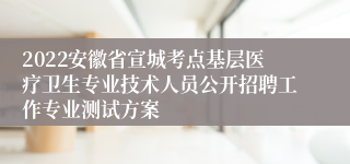 2022安徽省宣城考点基层医疗卫生专业技术人员公开招聘工作专业测试方案