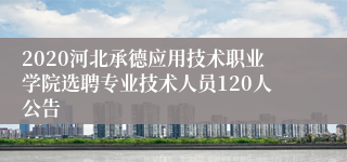 2020河北承德应用技术职业学院选聘专业技术人员120人公告