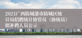 2021广西防城港市防城区统计局招聘统计协管员（协统员）拟补聘人员公示