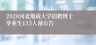 2020河北地质大学招聘博士毕业生115人预公告