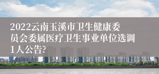 2022云南玉溪市卫生健康委员会委属医疗卫生事业单位选调1人公告?