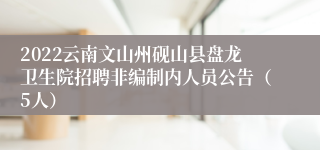 2022云南文山州砚山县盘龙卫生院招聘非编制内人员公告（5人）