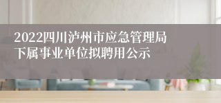 2022四川泸州市应急管理局下属事业单位拟聘用公示