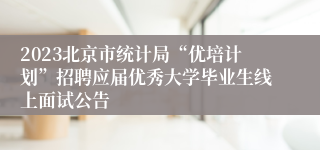 2023北京市统计局“优培计划”招聘应届优秀大学毕业生线上面试公告