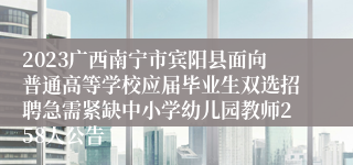 2023广西南宁市宾阳县面向普通高等学校应届毕业生双选招聘急需紧缺中小学幼儿园教师258人公告