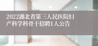 2022湖北省第三人民医院妇产科学科骨干招聘1人公告