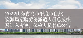 2022山东青岛市平度市自然资源局招聘劳务派遣人员总成绩及进入考察、体检人员名单公告