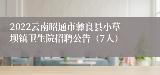 2022云南昭通市彝良县小草坝镇卫生院招聘公告（7人）