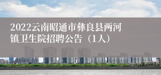 2022云南昭通市彝良县两河镇卫生院招聘公告（1人）