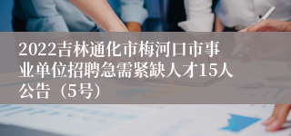 2022吉林通化市梅河口市事业单位招聘急需紧缺人才15人公告（5号）