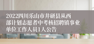 2022四川乐山市井研县从西部计划志愿者中考核招聘镇事业单位工作人员1人公告