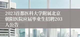 2023首都医科大学附属北京朝阳医院应届毕业生招聘203人公告