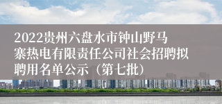 2022贵州六盘水市钟山野马寨热电有限责任公司社会招聘拟聘用名单公示（第七批）