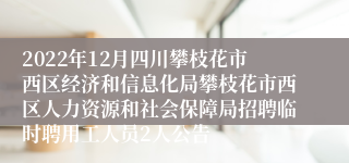 2022年12月四川攀枝花市西区经济和信息化局攀枝花市西区人力资源和社会保障局招聘临时聘用工人员2人公告