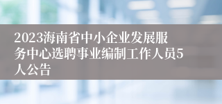 2023海南省中小企业发展服务中心选聘事业编制工作人员5人公告