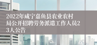 2022年咸宁嘉鱼县农业农村局公开招聘劳务派遣工作人员23人公告