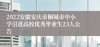 2022安徽安庆市桐城市中小学引进高校优秀毕业生23人公告