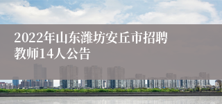 2022年山东潍坊安丘市招聘教师14人公告