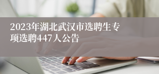 2023年湖北武汉市选聘生专项选聘447人公告