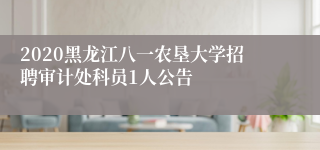 2020黑龙江八一农垦大学招聘审计处科员1人公告