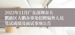 2022年11月广东深圳市大鹏新区大鹏办事处招聘编外人员笔试成绩及面试事项公告