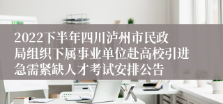 2022下半年四川泸州市民政局组织下属事业单位赴高校引进急需紧缺人才考试安排公告