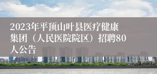 2023年平顶山叶县医疗健康集团（人民医院院区）招聘80人公告