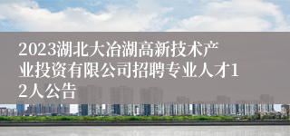 2023湖北大冶湖高新技术产业投资有限公司招聘专业人才12人公告