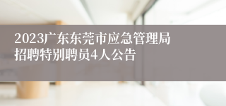 2023广东东莞市应急管理局招聘特别聘员4人公告