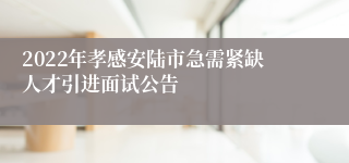 2022年孝感安陆市急需紧缺人才引进面试公告