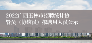 2022广西玉林市招聘统计协管员（协统员）拟聘用人员公示