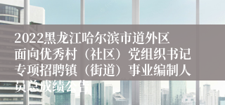 2022黑龙江哈尔滨市道外区面向优秀村（社区）党组织书记专项招聘镇（街道）事业编制人员总成绩公告