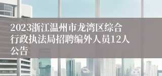 2023浙江温州市龙湾区综合行政执法局招聘编外人员12人公告