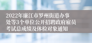 2022年廉江市罗州街道办事处等3个单位公开招聘政府雇员考试总成绩及体检对象通知