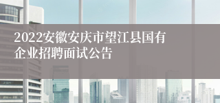 2022安徽安庆市望江县国有企业招聘面试公告