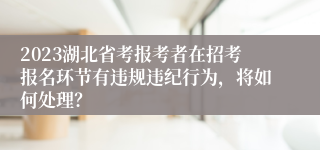 2023湖北省考报考者在招考报名环节有违规违纪行为，将如何处理？